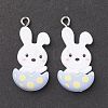 Opaque Resin Pendants LS-X-RESI-F030-19-2