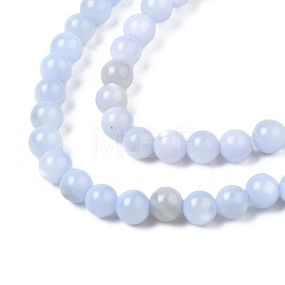 Natural Freshwater Shell Beads Strands BSHE-T009A-01F-1