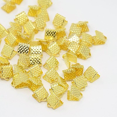 Iron Ribbon Crimp Ends E004Y-G-01-1