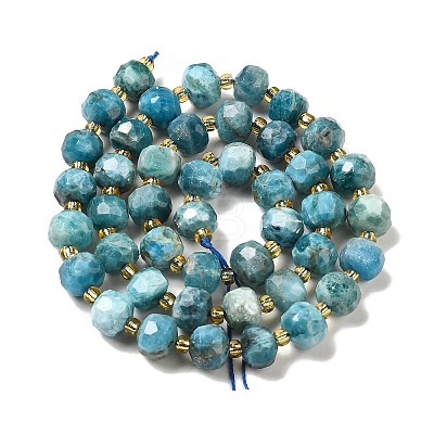 Natural Apatite Beads Strands G-P508-A15-01-1