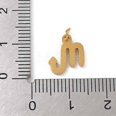 304 Stainless Steel Charms STAS-R001-04G-08-1