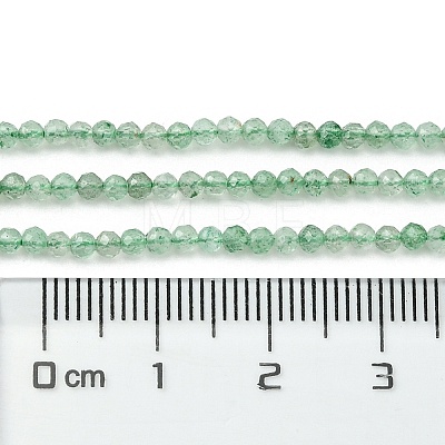 Natural Green Strawberry Quartz Beads Strands G-Z034-A02-01-1