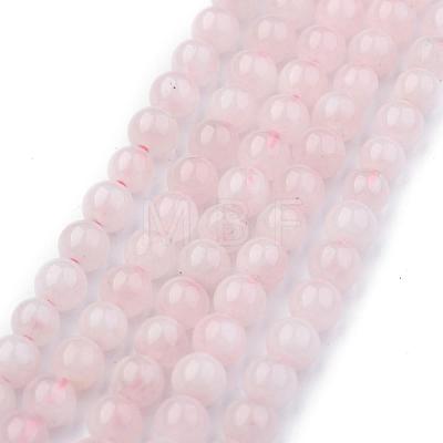 Natural Rose Quartz Round Bead Strands X-G-P072-05-4mm-1