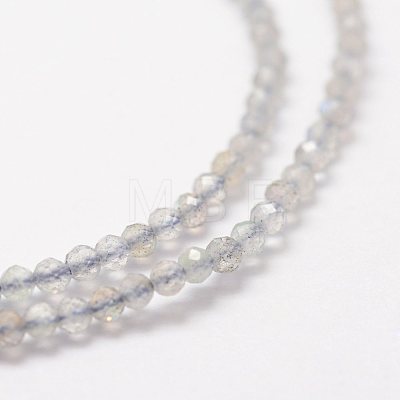 Natural Labradorite Beads Strands G-K185-10-1