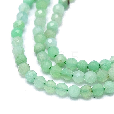 Natural Chrysoprase Beads Strands G-G106-C01-01-1