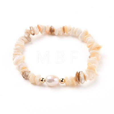 Chip Natural Shell Stretch Beaded Bracelets BJEW-JB05727-01-1