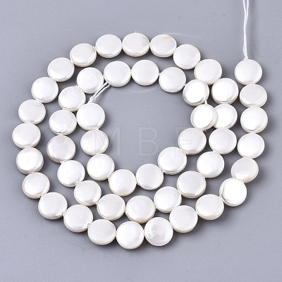 Natural Freshwater Shell Beads Strands X-SHEL-N026-50A-01-1