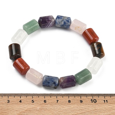 Column Dyed Natural Lapis Lazuli & Rose Quartz & Green Aventurine & Amethyst & Red Jasper & Tiger Eye & Quartz Crystal Beads Stretch Bracelets for Women Men BJEW-A148-01A-20-1