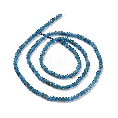 Natural Apatite Beads Strands G-E194-10-1