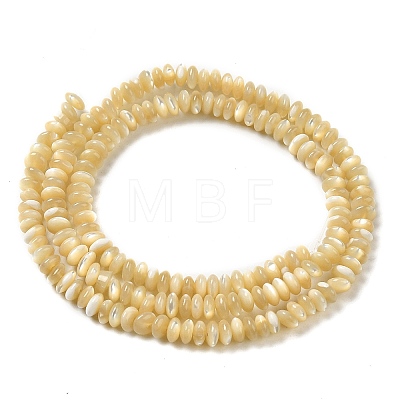 Natural Trochus Shell Beads Strands SHEL-K006-25B-1