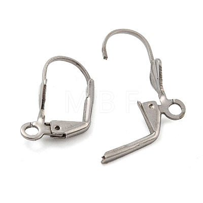 304 Stainless Steel Leverback Earring Findings STAS-P360-02A-P-1