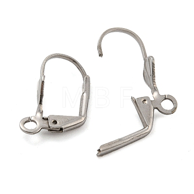 Non-Tarnish 304 Stainless Steel Leverback Earring Findings STAS-P360-02A-P-1