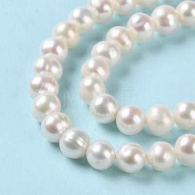 Natural Pearl Beads Strands PEAR-E018-73-1