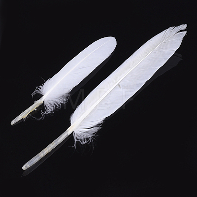 Goose Feather Costume Accessories FIND-T037-01O-1
