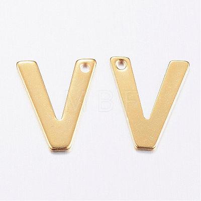 304 Stainless Steel Charms STAS-P141-V-1