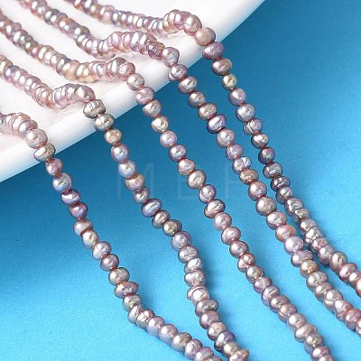 Natural Cultured Freshwater Pearl Beads Strands PEAR-I007-07K-03-1