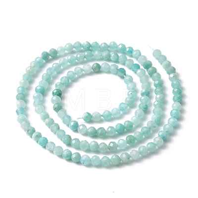 Natural Amazonite Bead Strands X-G-A129-3mm-20-1