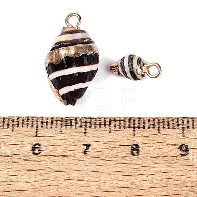 Electroplate Natural Spiral Shell Pendants SSHEL-Q100-42G-1