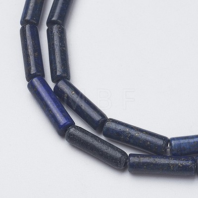 Natural Lapis Lazuli Bead Strands G-G968-F01-1