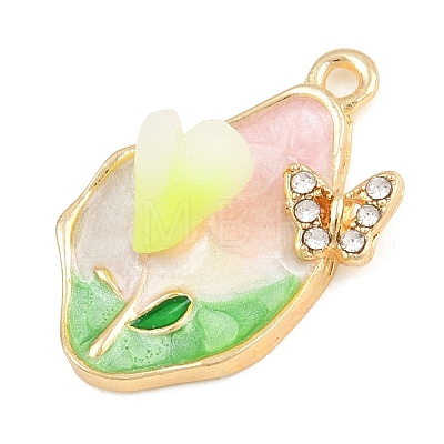 Alloy with Enamel Pendants RB-CBA01F2-02G-C-1