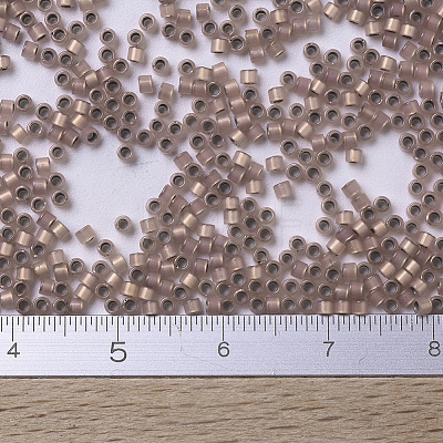 MIYUKI Delica Beads Small X-SEED-J020-DBS0191-1