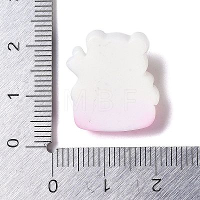 Desserts Theme Opaque Resin Decoden Cabochons RESI-S395-01A-1