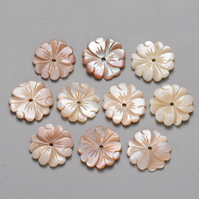 Natural Pink Shell Beads SSHEL-R044-01-1