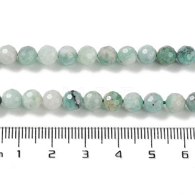 Natural Emerald Quartz Beads Strands G-P514-A06-04-1