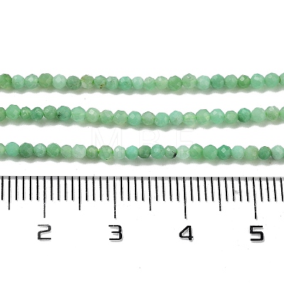 Natural Chrysoprase Beads Strands G-B088-C19-02-1