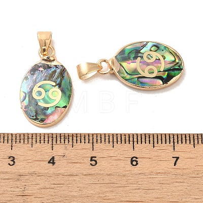 Constellation Natural Paua Shell Pendants KK-P265-01G-02-1