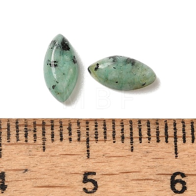 Natural African Turquoise(Jasper) Cabochons G-F772-01B-14-1