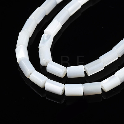 Natural Freshwater Shell Beads Strands SHEL-N003-26-A01-1