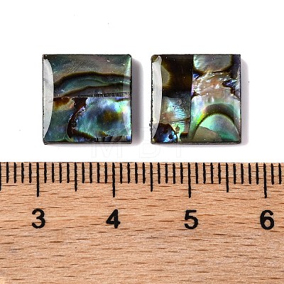 Natural Paua Shell Epoxy Resin Cabochons SSHEL-S279-01H-1