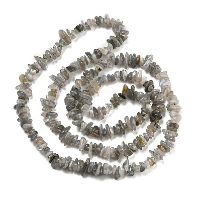 Natural Labradorite Beads Strands G-P332-23-1