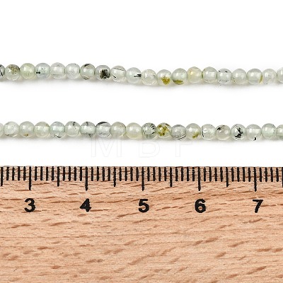 Natural Prehnite Beads Strands G-RM250104-A9-1