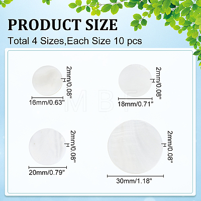 40Pcs 4 Styles Natural Freshwater Shell Cabochons SHEL-WR0001-11-1