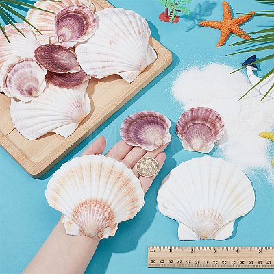 2 Styles Natural Shell SSHEL-WR0001-06A-1