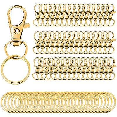 Zinc Alloy Keychain Clasps PW-WG5C25A-01-1