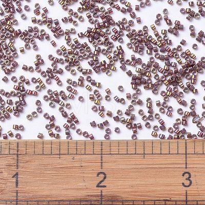 MIYUKI Delica Beads Small SEED-X0054-DBS1013-1