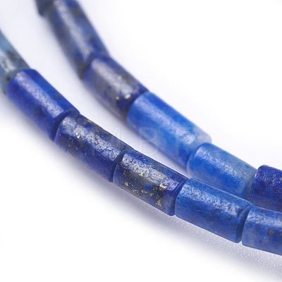 Natural Lapis Lazuli Beads Strands G-G783-01-1