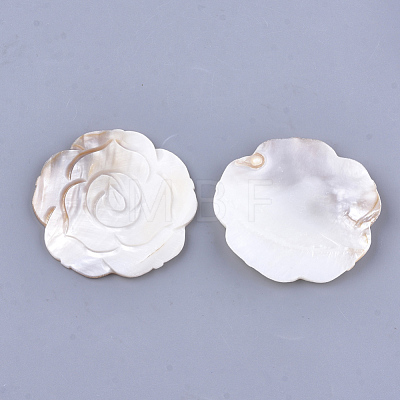 Carved Freshwater Shell Cabochons SHEL-T012-55-1