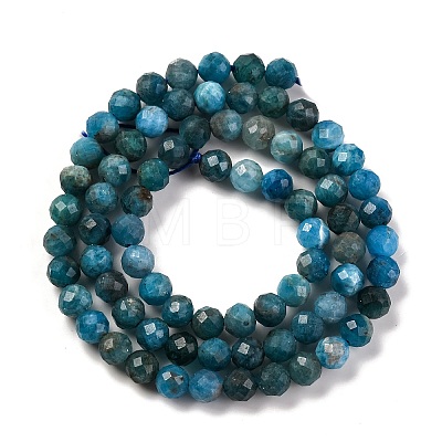 Natural Apatite Beads Strands X-G-F770-C02-02-1