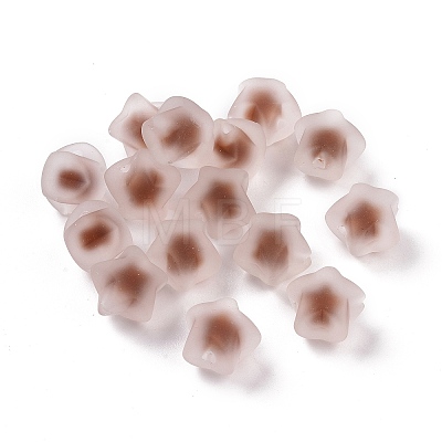 Rubberized Style Transparent Acrylic Beads OACR-C001-10-1