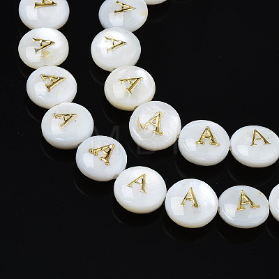 Natural Freshwater Shell Beads SHEL-S276-168A-1