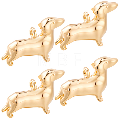 12Pcs Brass Charms KK-BBC0028-31-1
