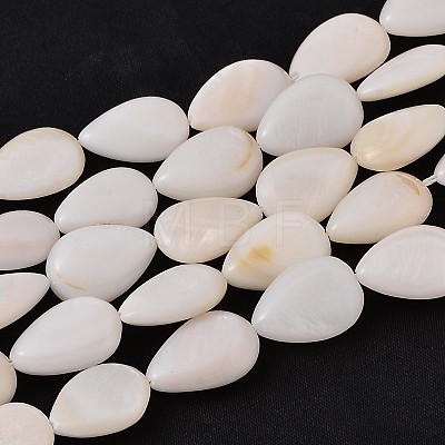 Natural White Shell Beads Strands X-PBB263Y-1-1