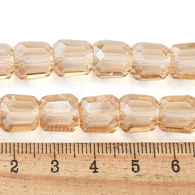 Electroplate Glass Beads Strands EGLA-L045-E-PL02-1