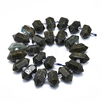 Natural Labradorite Beads Strands G-F715-047-1
