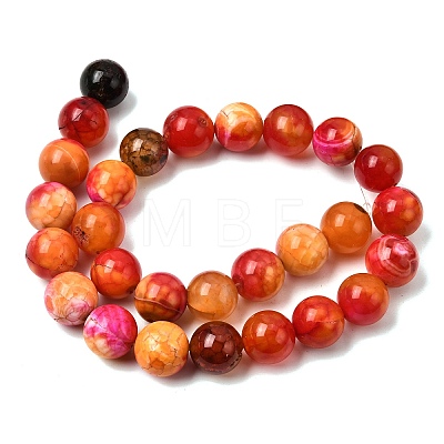 Natural Agate Beads Strands G-Z145-B01-14mm-A-1