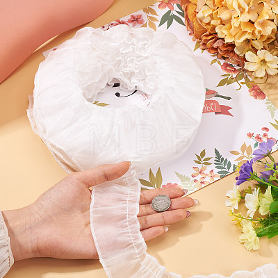 Polyester Lace Ribbon OCOR-TAC0035-25A-1